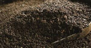 Image of Vermicast