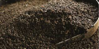 Image of Vermicast