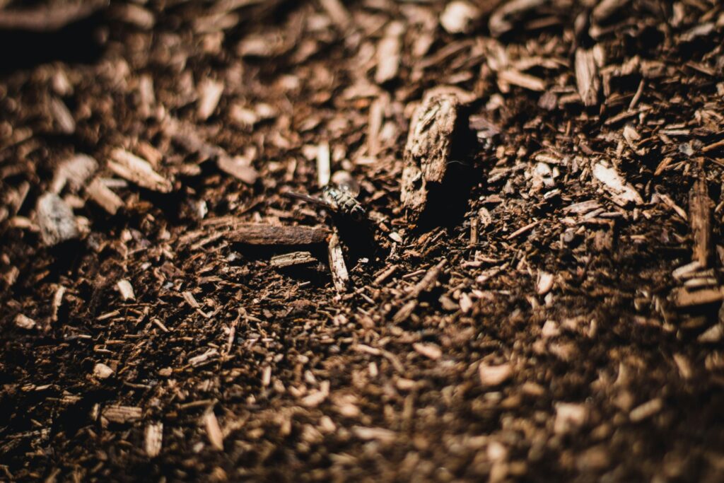 Close-up of brown woodchip mulch