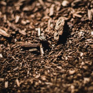 Close-up of brown woodchip mulch